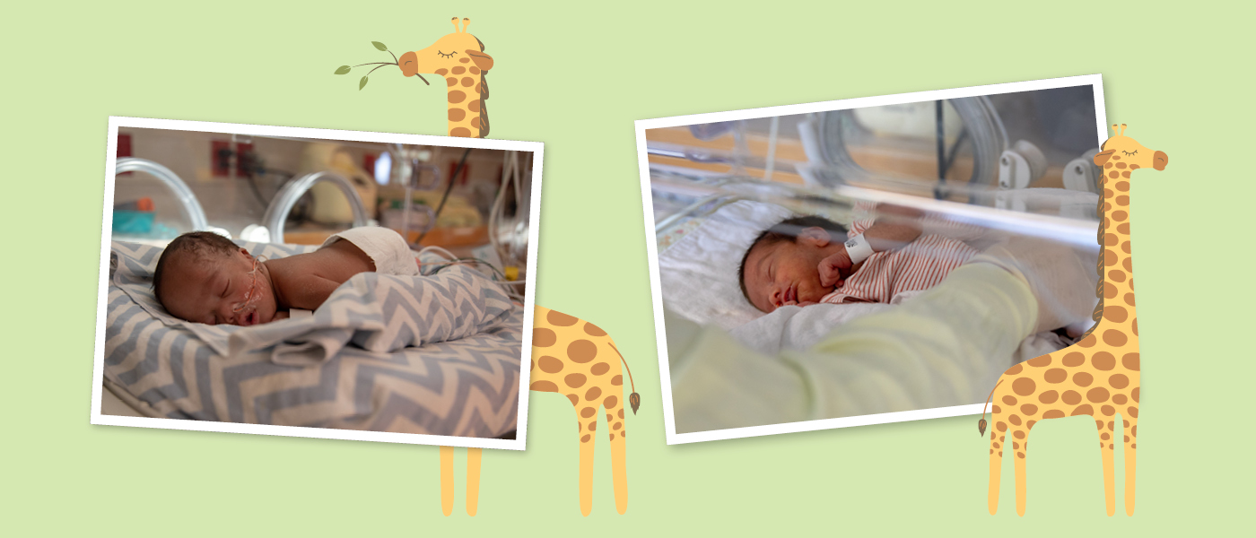 There are two photos that appear side by side. Each photo includes a baby sleeping inside an incubator at St. Joe's. Each of these photos is flanked by a cartoon giraffe illustration, on a pale green background.
